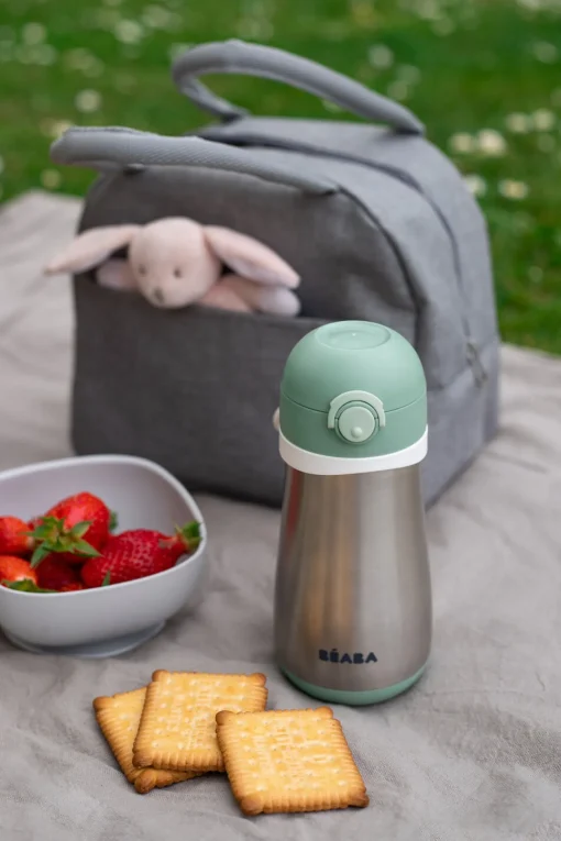 Gourde Inox 350 Ml Sage Green